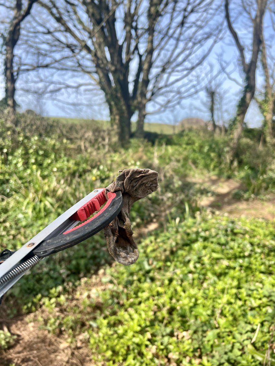 Me&ThePlasticSea tweet media