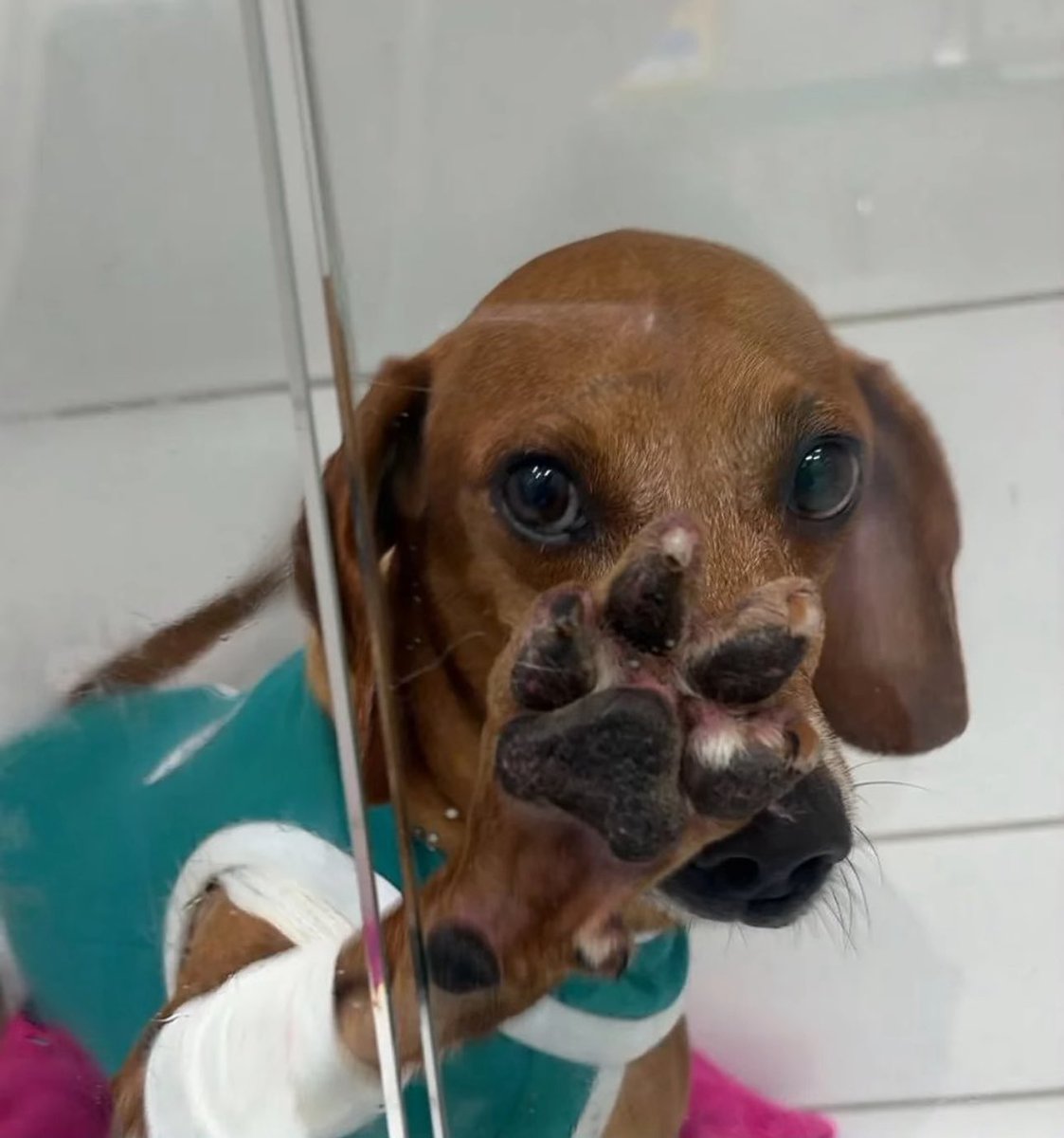 kaarolzx tweet media