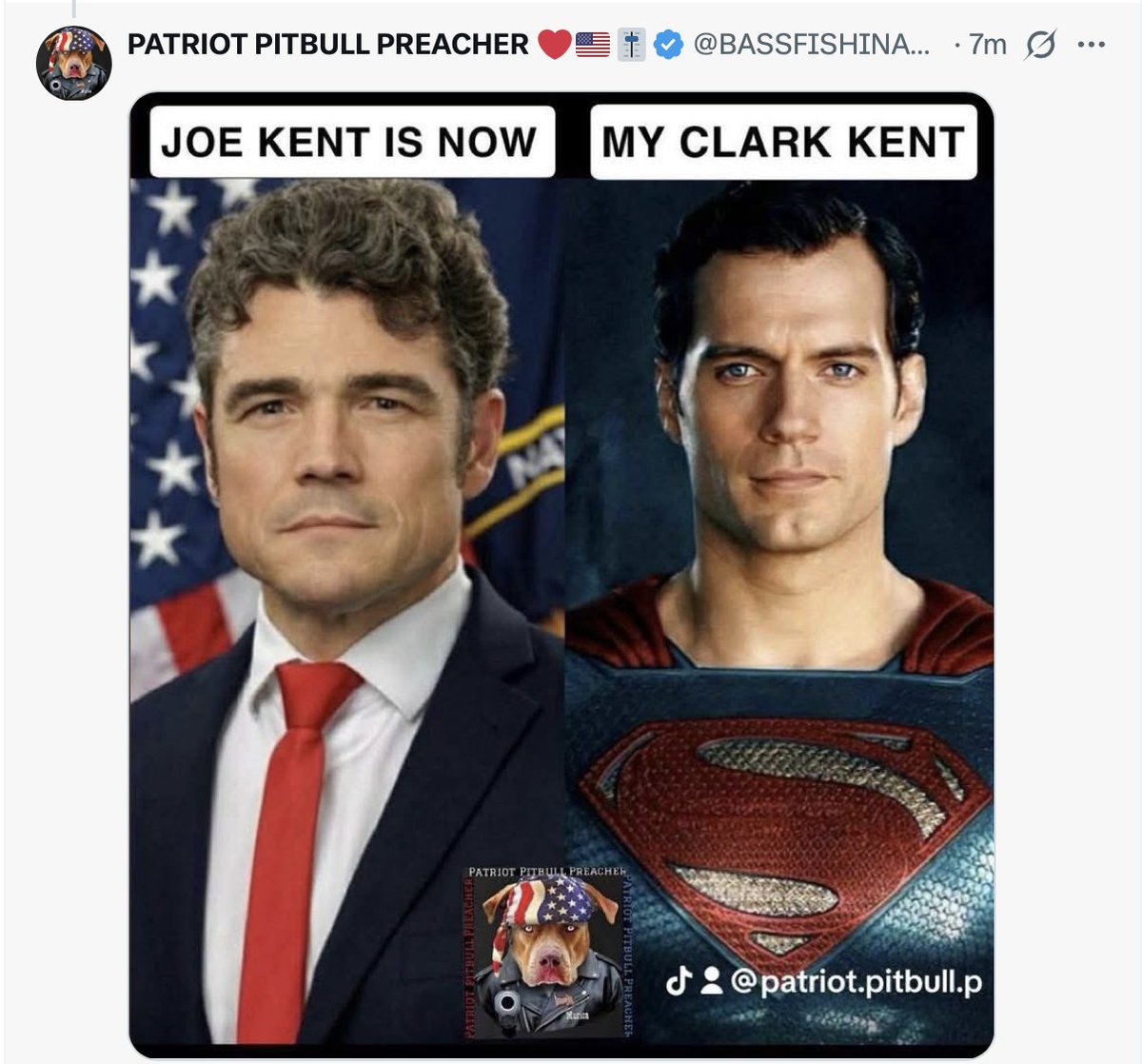 Catturd ™ tweet media