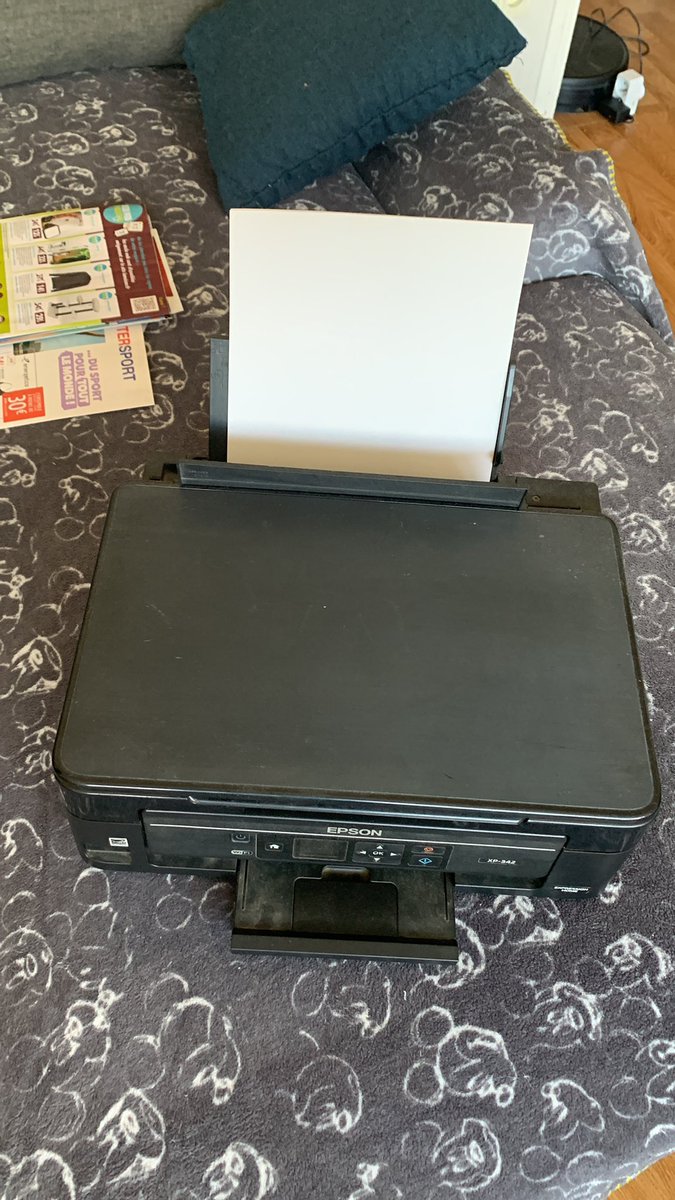 Mowgli 🌴 tweet media