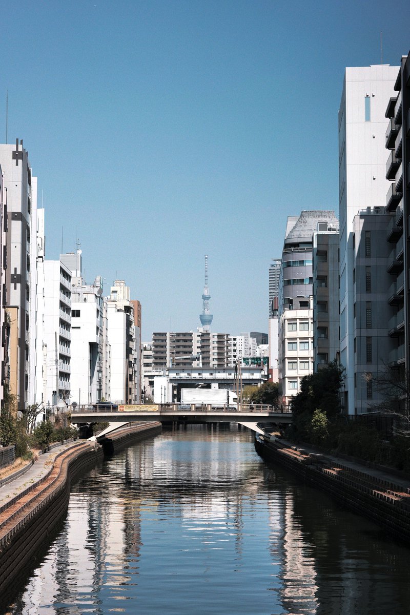 めいむら tweet media