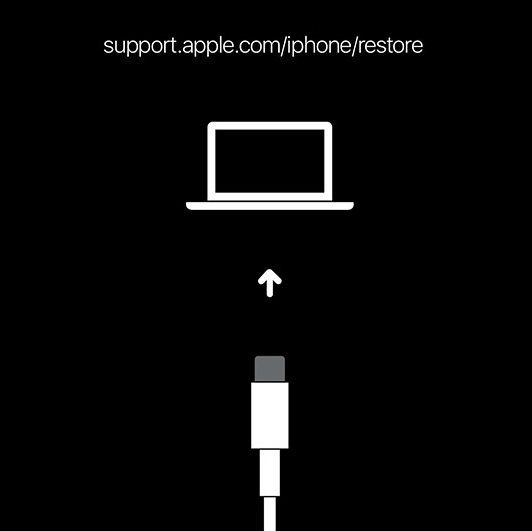 Amane ☄️💎「 Debuted 」 tweet media