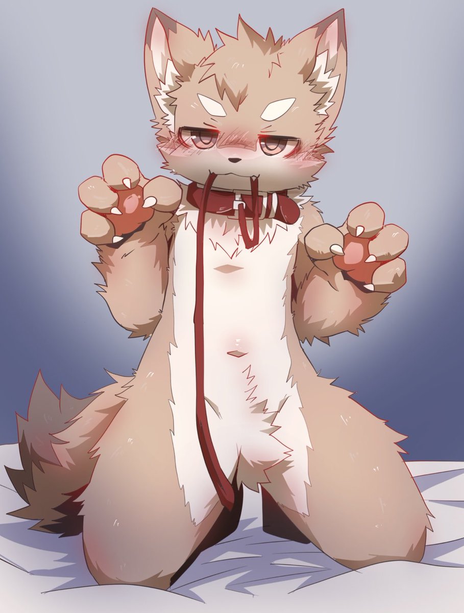 🔰えんリけ　▶️???▶️ケモケ▶️OFFF tweet media