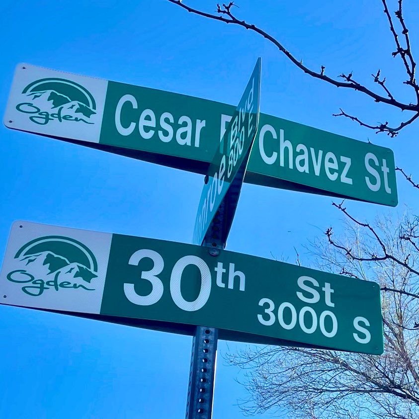 The Eternal Saints tweet media