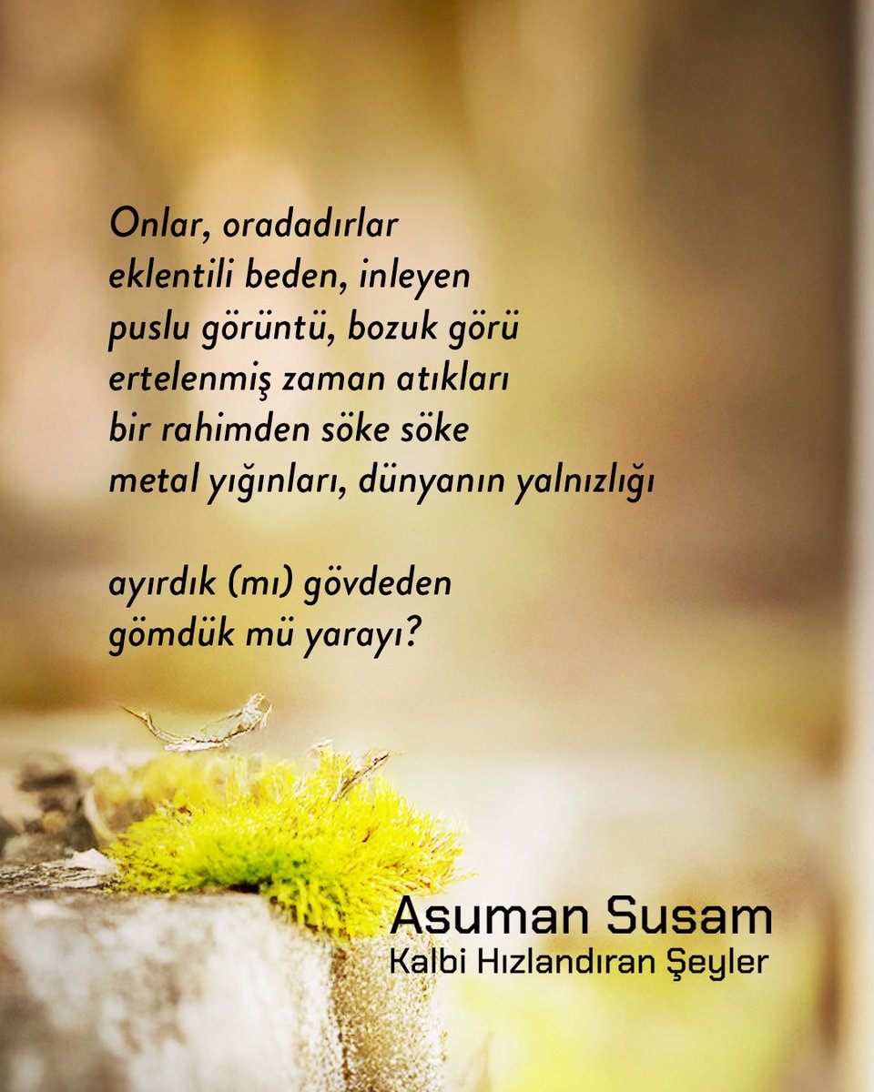 Everest Yayınları tweet media