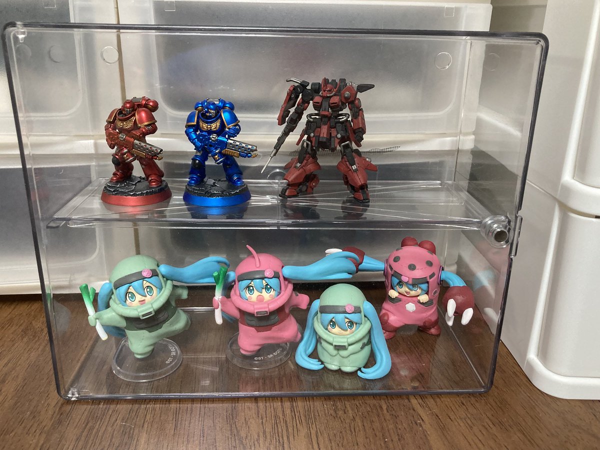 ショウ tweet media