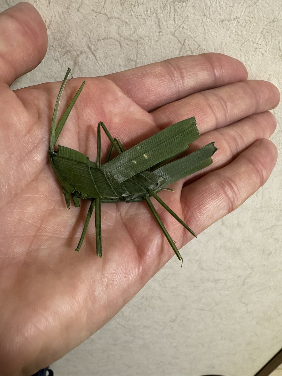 朝隈濯朗 tweet media