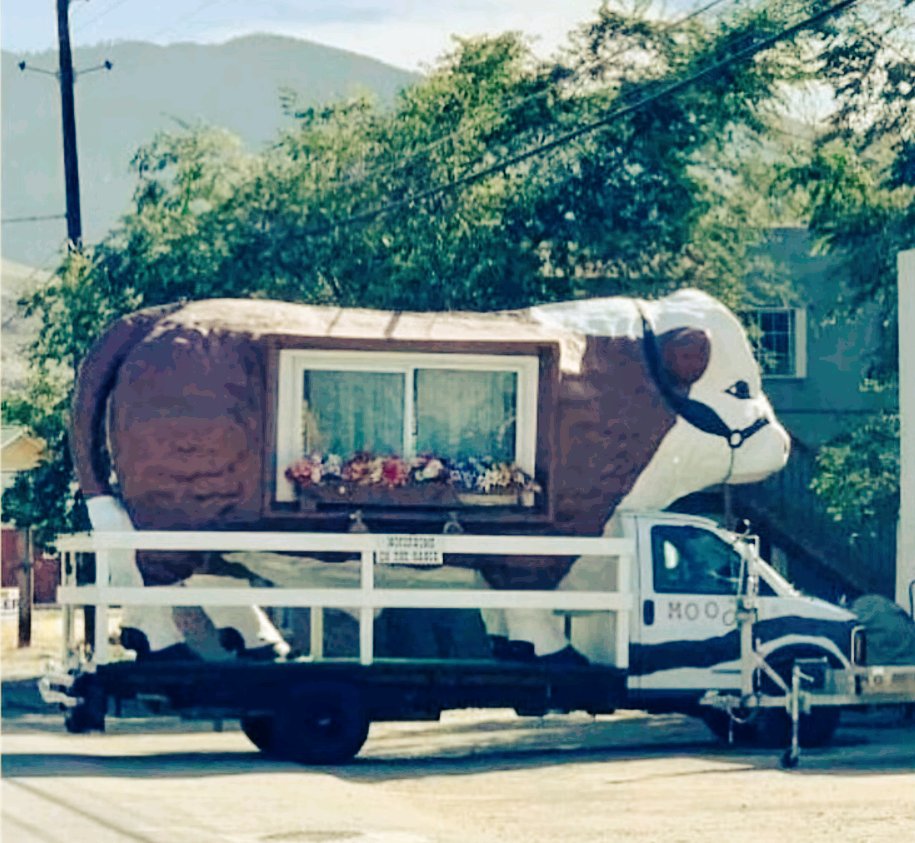 🚒 𝙋𝙖𝙪𝙡 𝙎. 𝘿. ¯⁠\⁠_⁠(⁠ツ⁠)⁠_⁠/⁠¯ 🏴‍☠️ tweet media