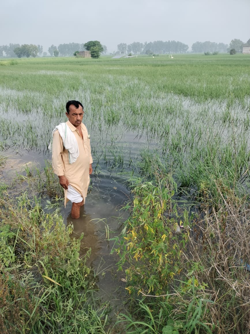 Ramandeep Singh Mann tweet media