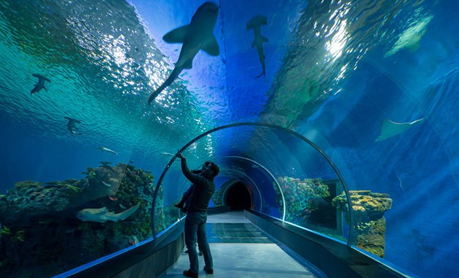 Bhagalpur Speaks tweet media