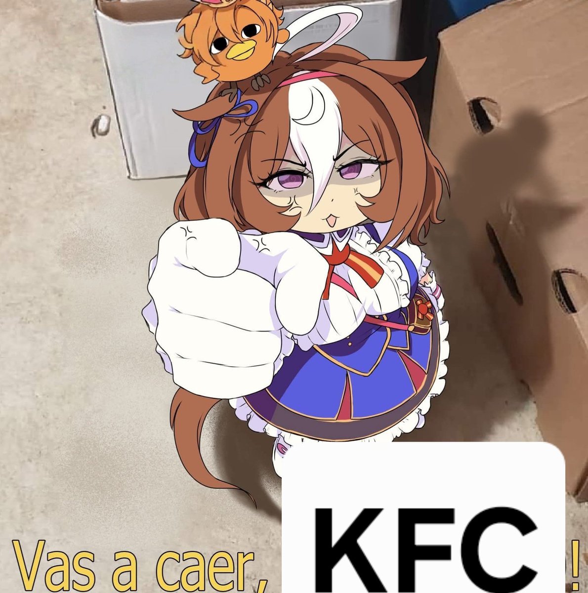 Perro de Gentildonna tweet media