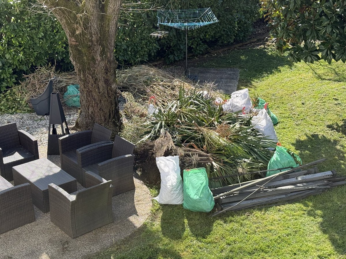 Tartan 🏴 🐸 Frog 🇫🇷 🇪🇺 tweet media