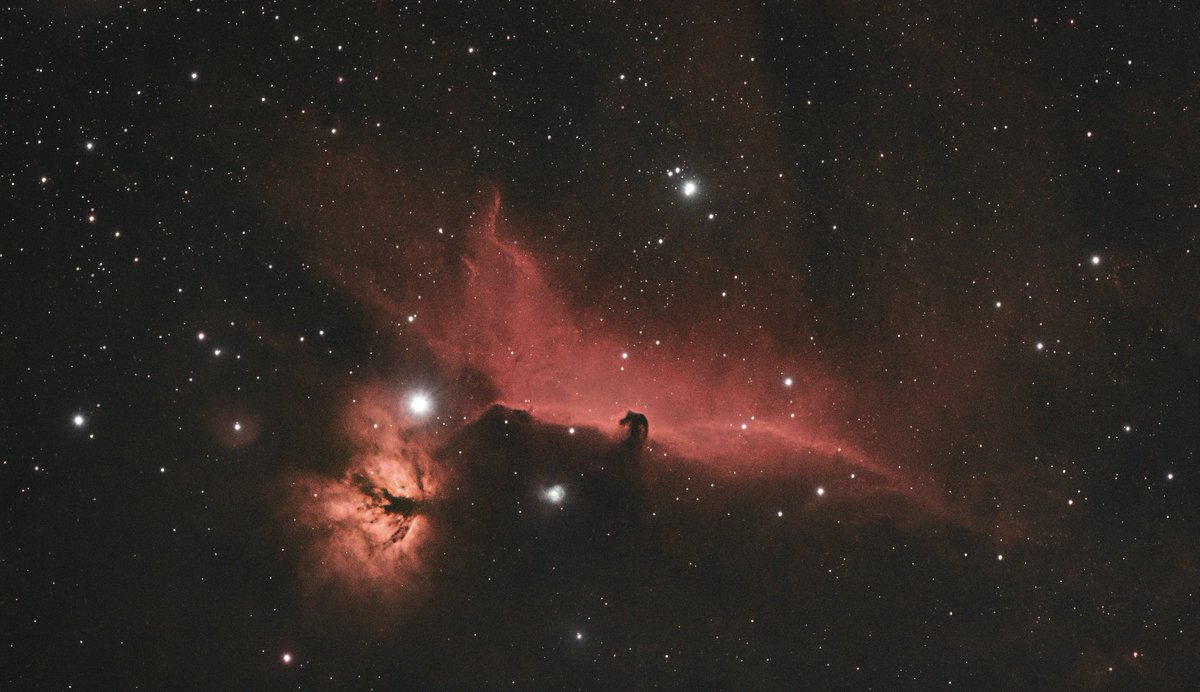 echo ⭐️🌙🪐🛰️ tweet media