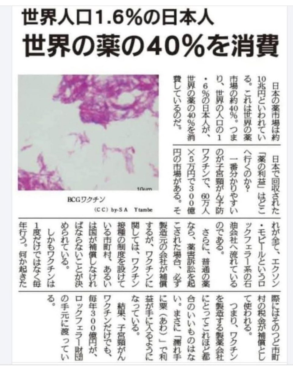 狗鷲イヌワシChapter II tweet media