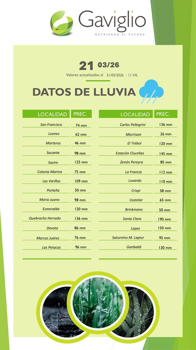 rossigerman1's tweet photo. Lluvias Zonas y sigue . Se recomponen  los  perfiles para el trigo y se retrasa la cosecha de maiz en algunas zona, se retomaria la cosecha con los primeros lotes de  Soja 

#lluvias #perfilestrigo #cosecha2526 
@MeteoredAR @lluviasarg @leodebenedictis @INTAlluvias https://t.co/WqVQgcNsMv