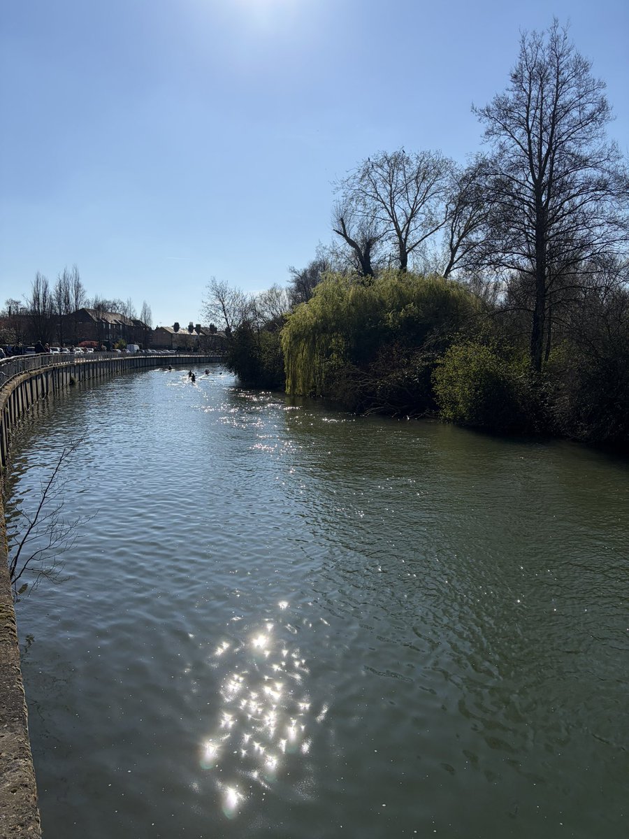 Phil Rodgers tweet media