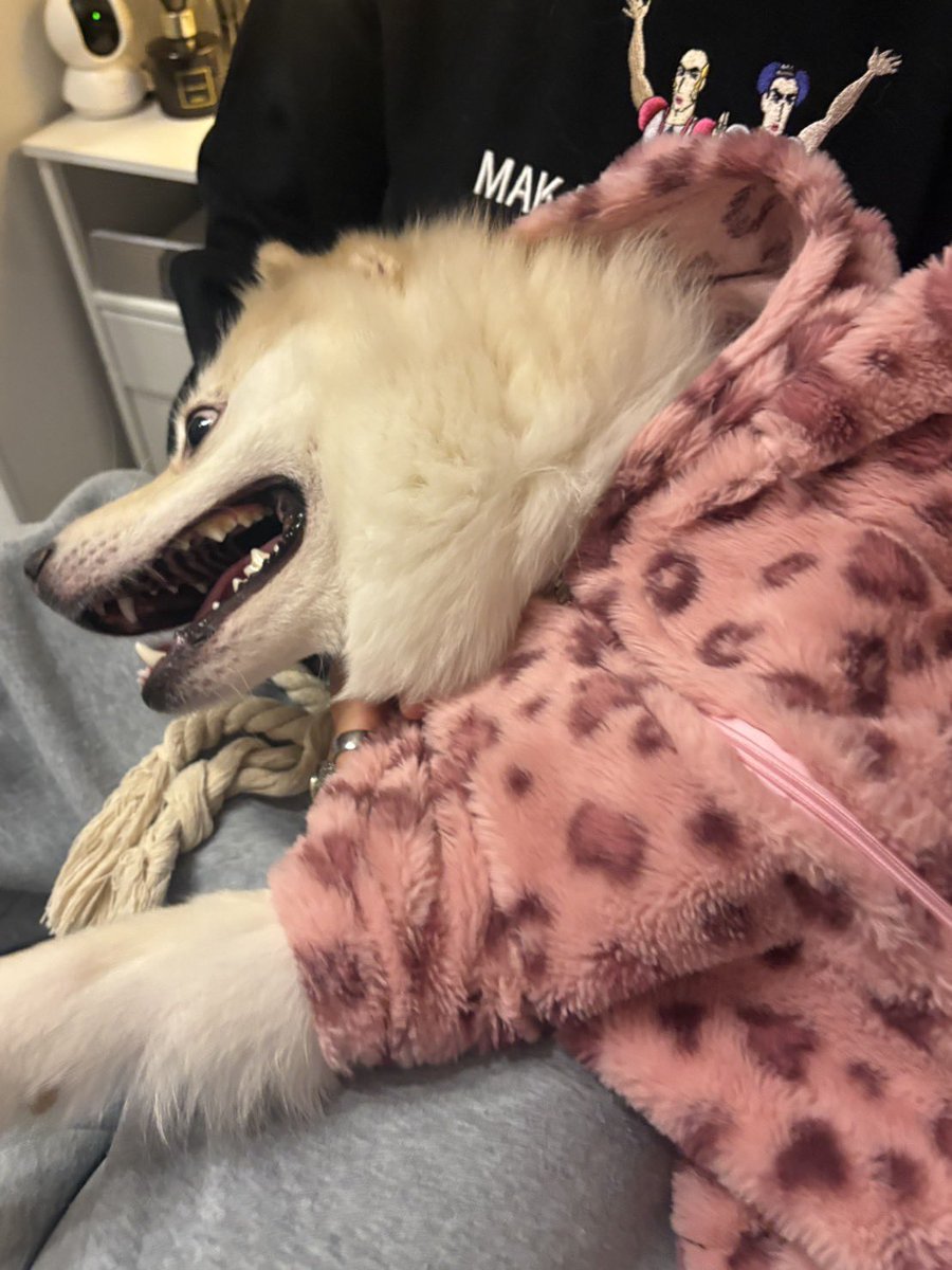 とらぶるめいと tweet media