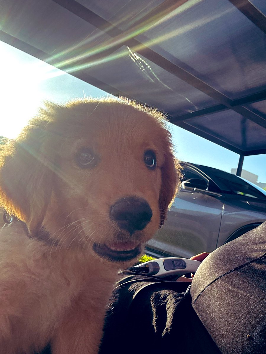 Señor Rengoku tweet media