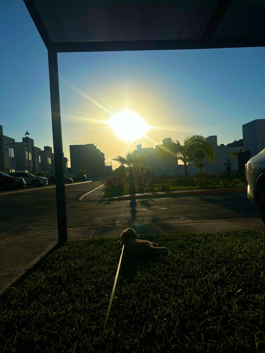 Señor Rengoku tweet media