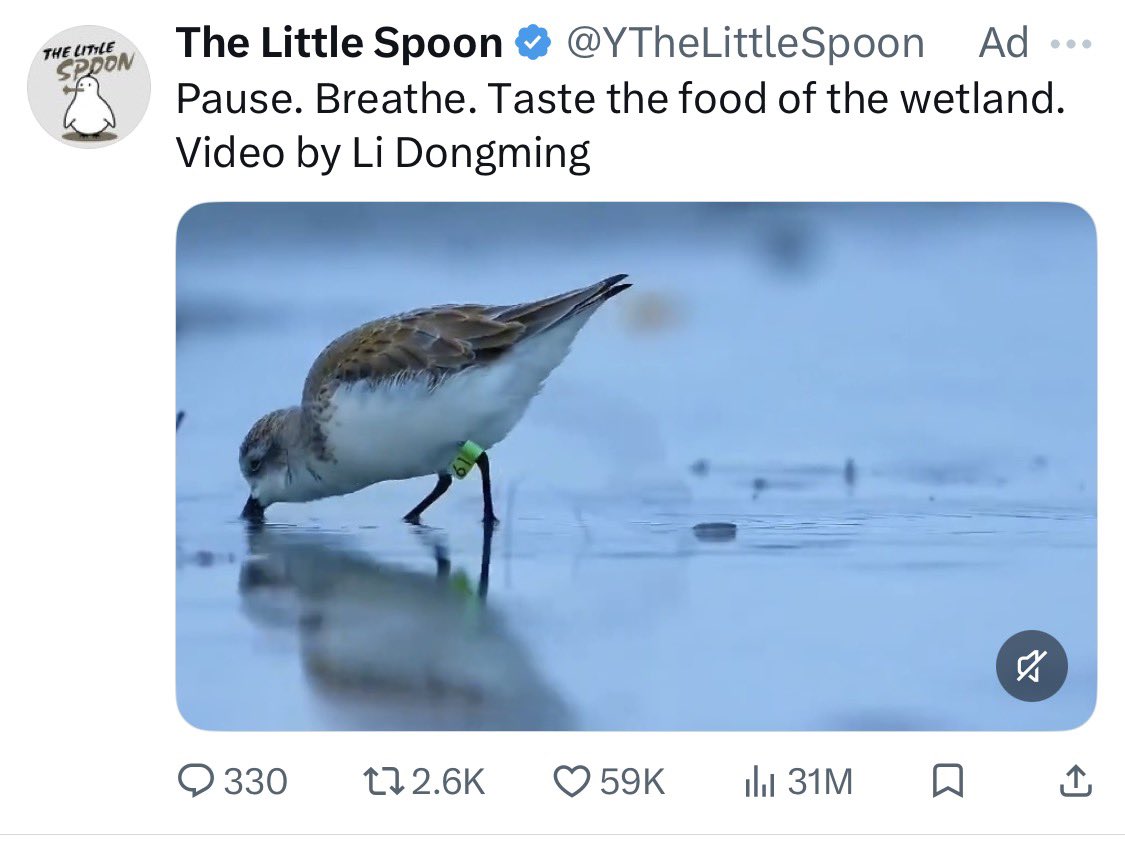 sara | chamel tweet media