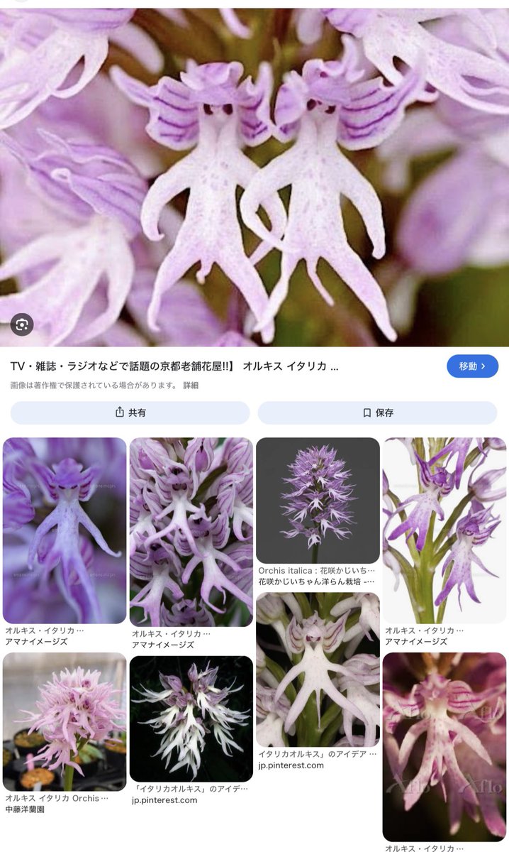 ひじりん tweet media