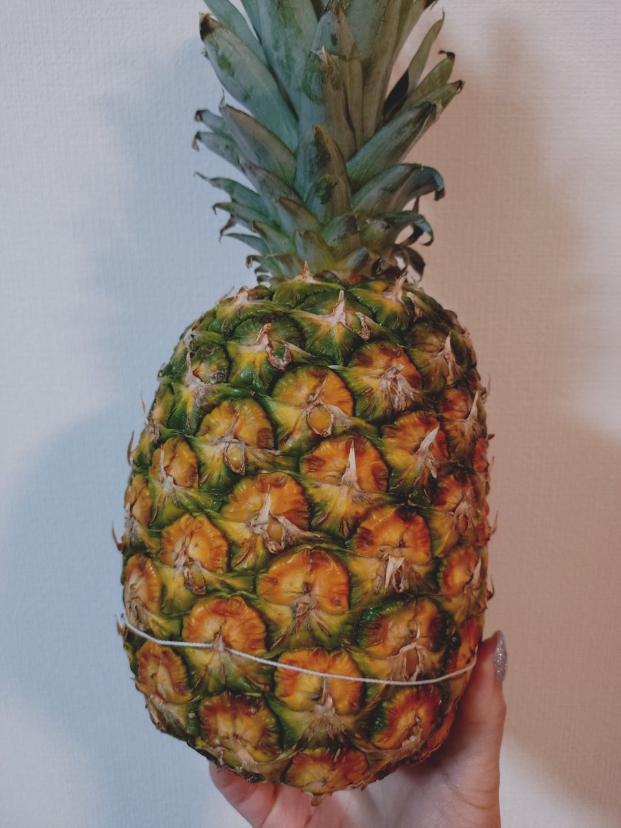 prayermame's tweet photo. 美容マニアから頂いたクマクリーム♥

と、市場で働いてた時の友達から頂いたパイナップル🍍

ありがとうございまーっす https://t.co/owJum8uDH6