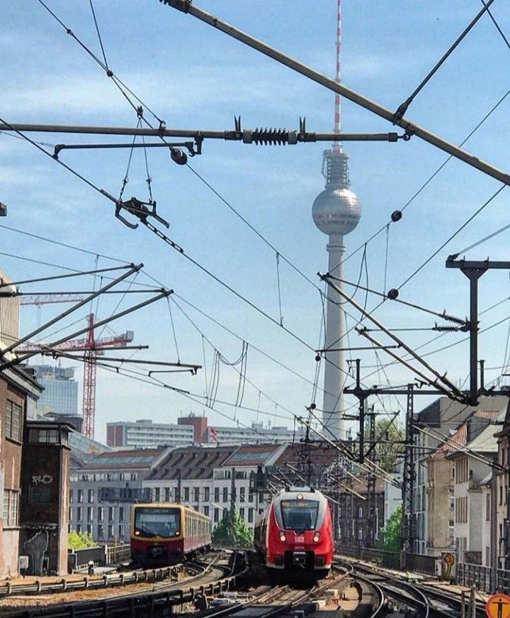 Roger Boylan tweet media