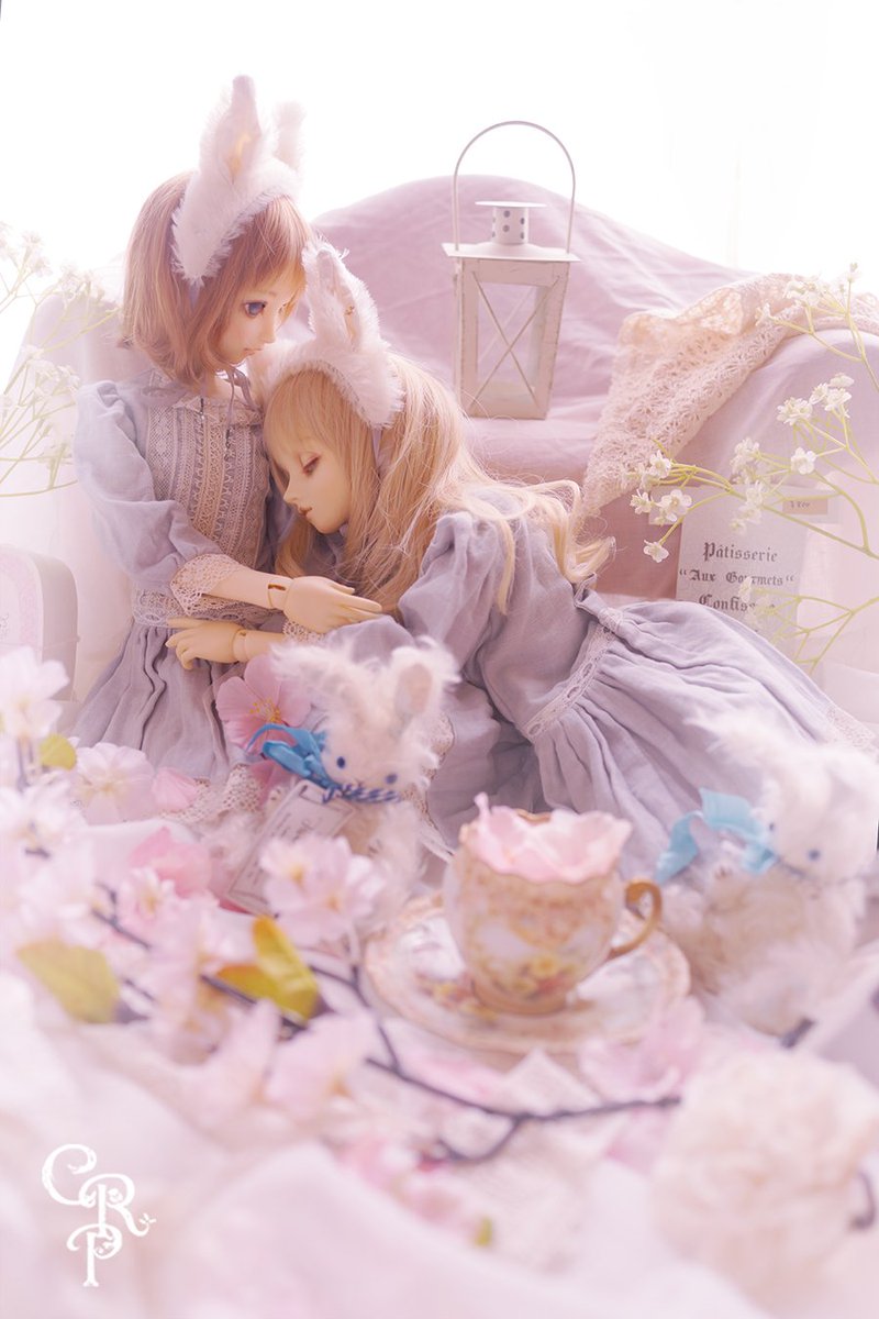 マキマイ tweet media