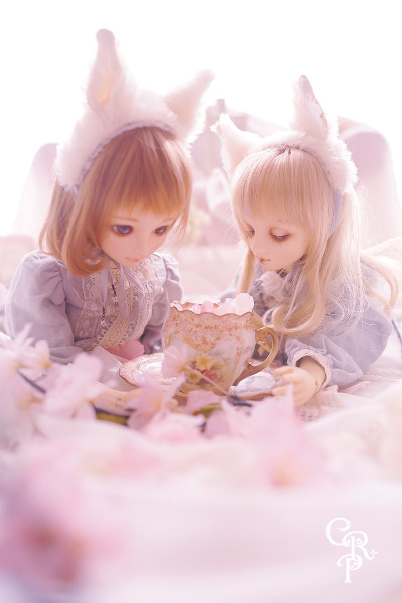 マキマイ tweet media