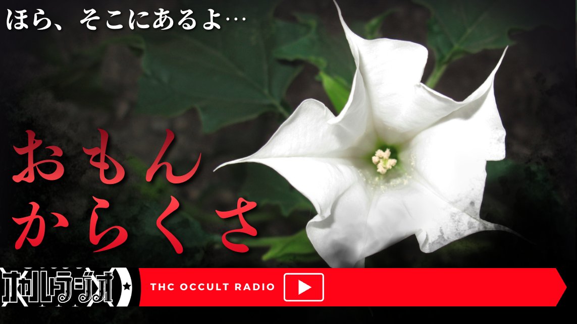 THCオカルトラジオ tweet media