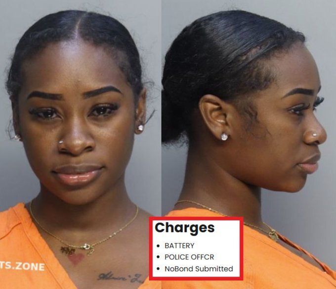 Wild Media tweet media