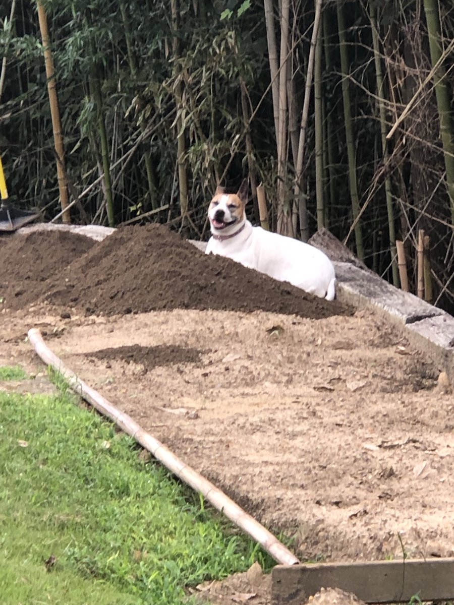 Franko ๐ฅ๐ฅ๐ฅ tweet media