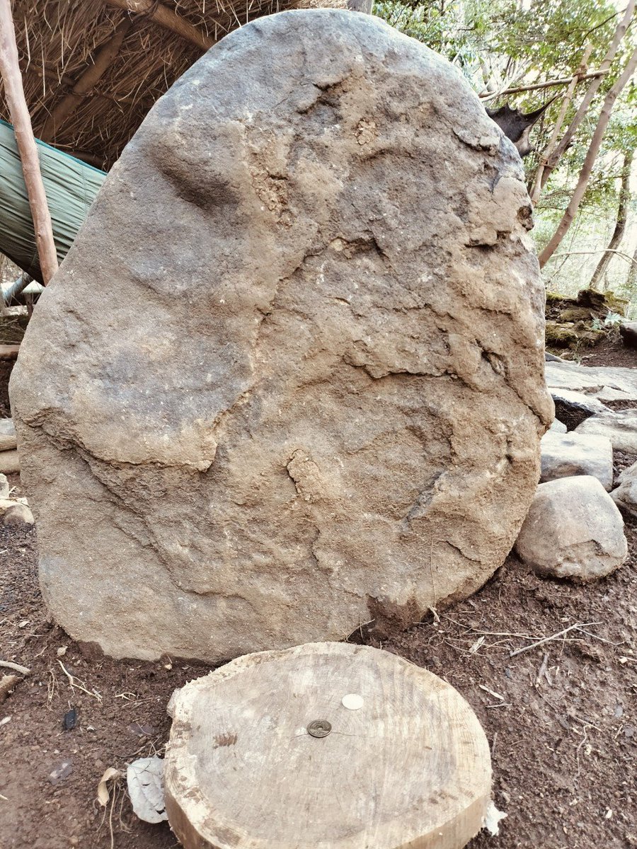 ももちいさお tweet media