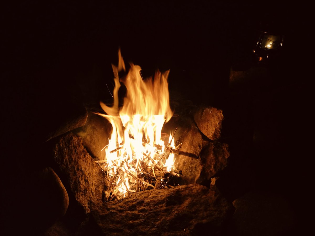 ももちいさお tweet media