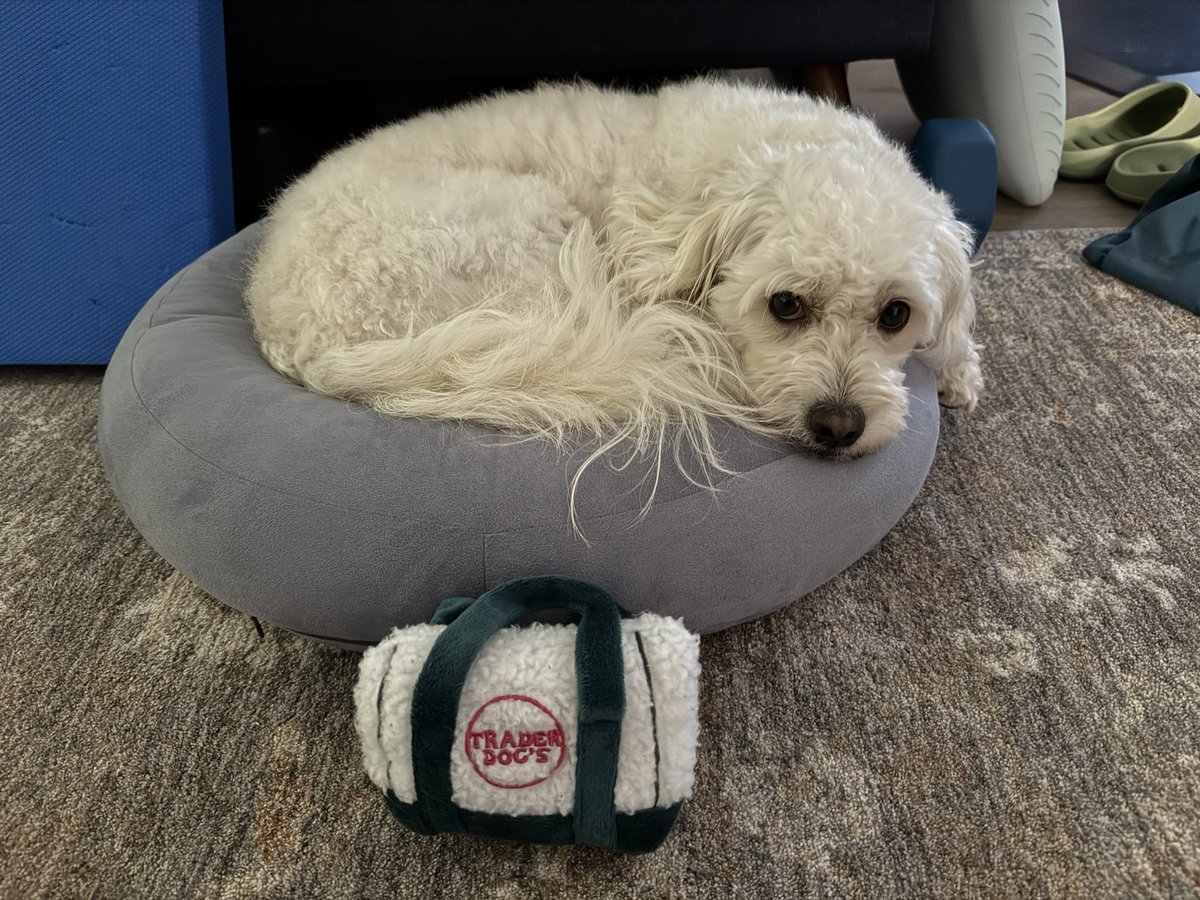 andrew//ffm tweet media