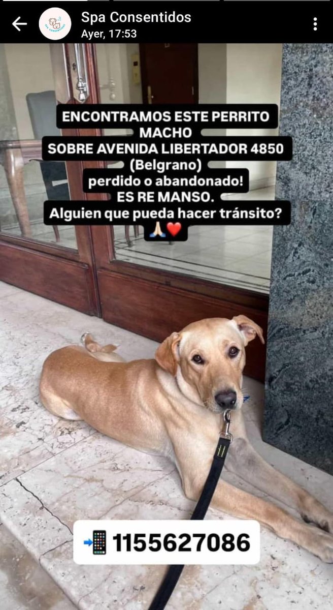 Sandra Constantopulo tweet media