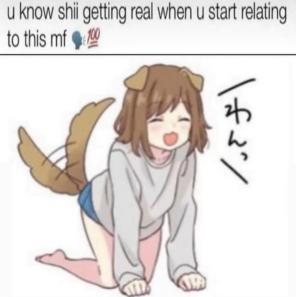 sylveonlover :3 🏳️⚧️ tweet media