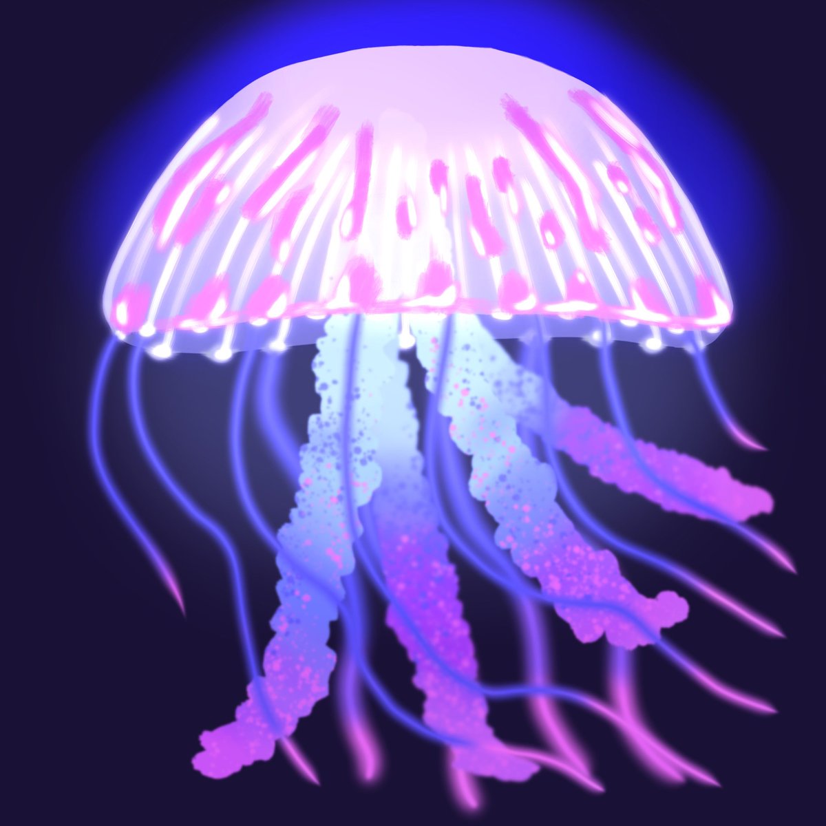 🇨🇦Dave Anchovy tweet media