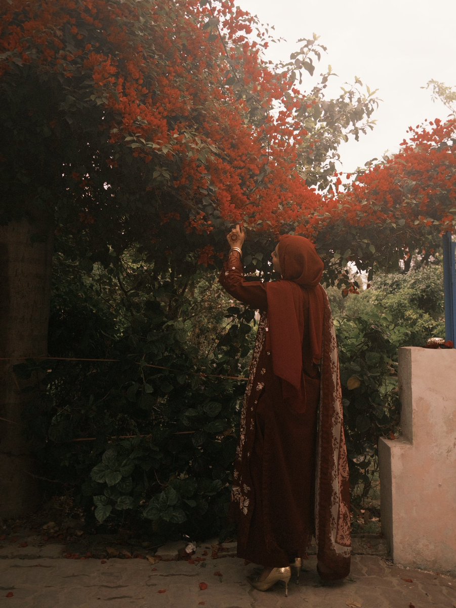 مشعال tweet media