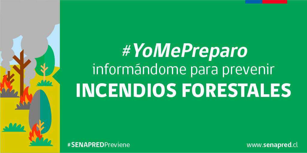 🔥🚫🌳 #JuntosPrevenimos Evita arrojar colillas o hacer fogatas fuera de lugares autorizados. web.senapred.cl/incendios-fore…