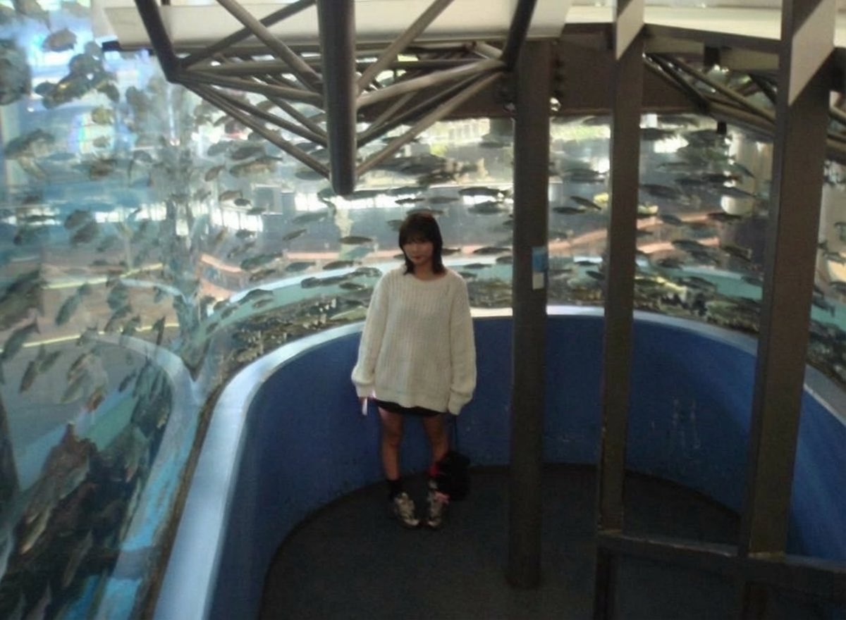 りな🐢配当金通知が生き甲斐OL tweet media