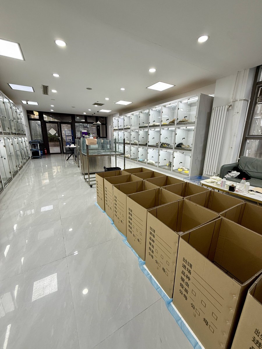 Marcus walker tweet media