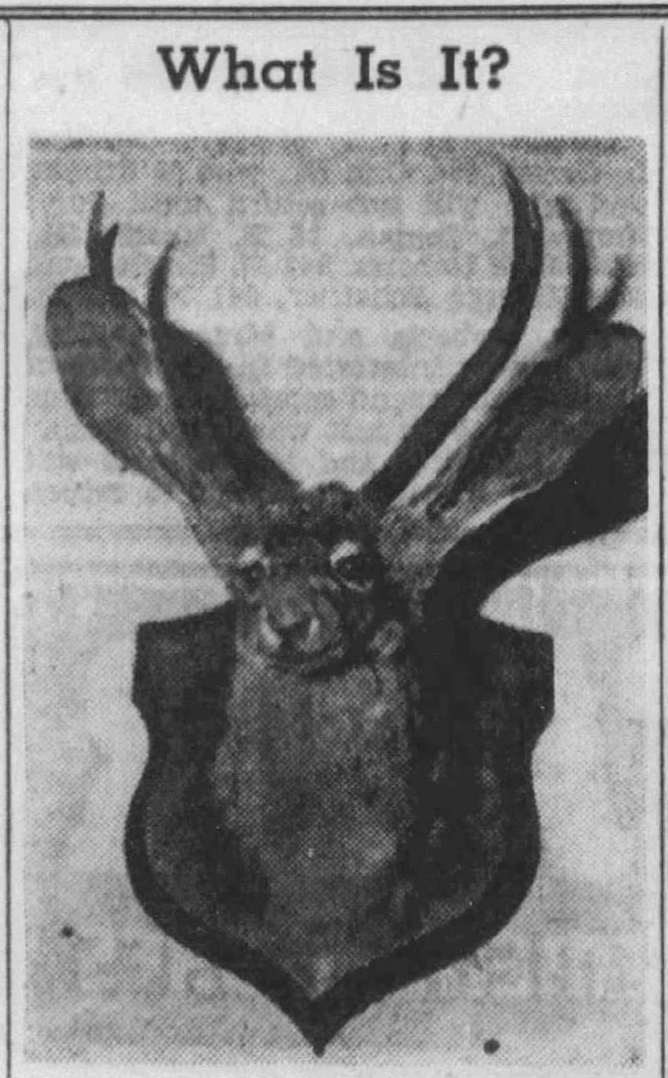 KattZZi 🍉 tweet media