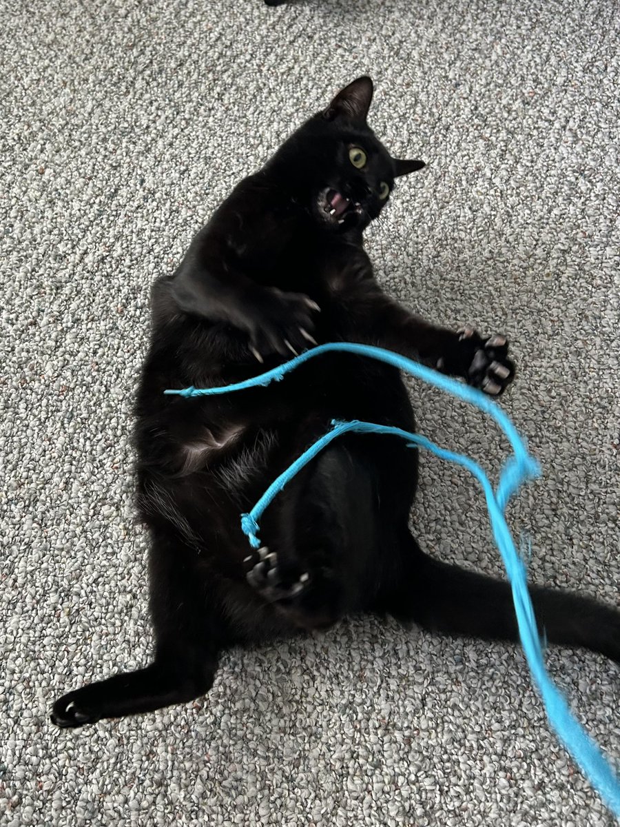 stay mad. stay mystified. tweet media