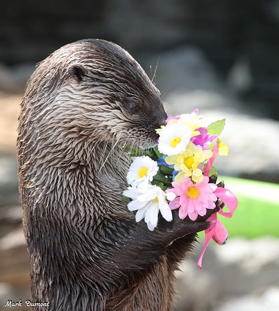 sh!tpostotter tweet media