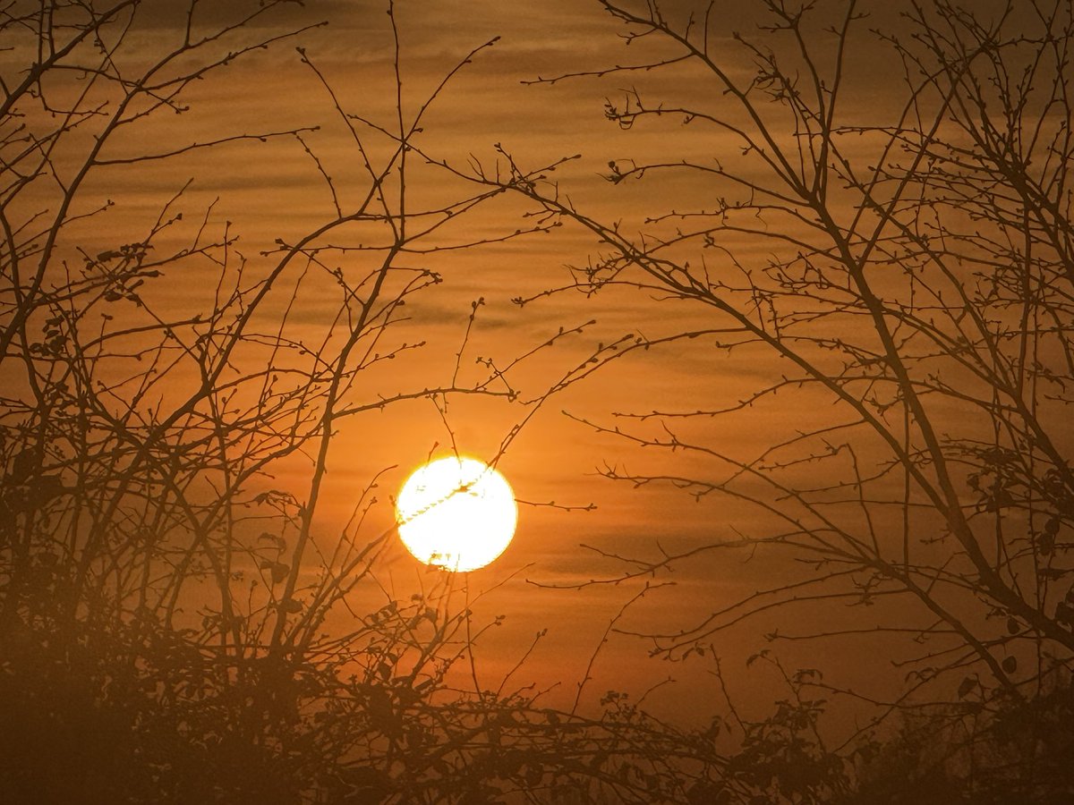 SavetheHellfire tweet media