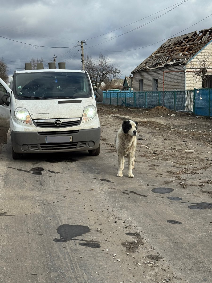 🌹яна східна tweet media