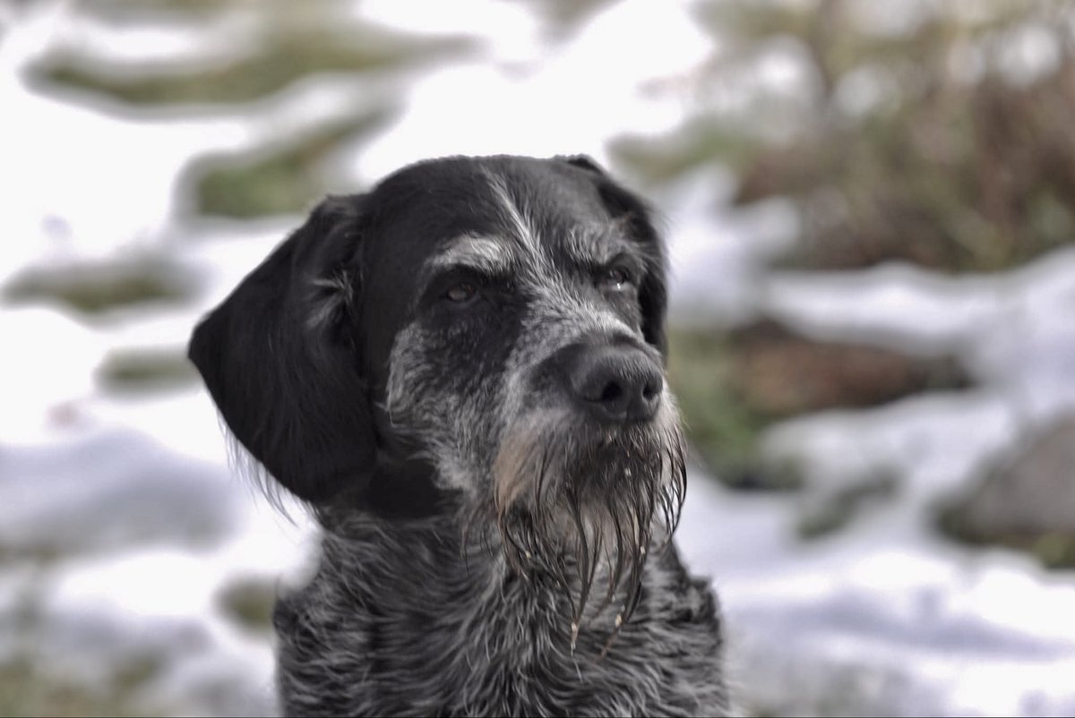 O'teach John tweet media