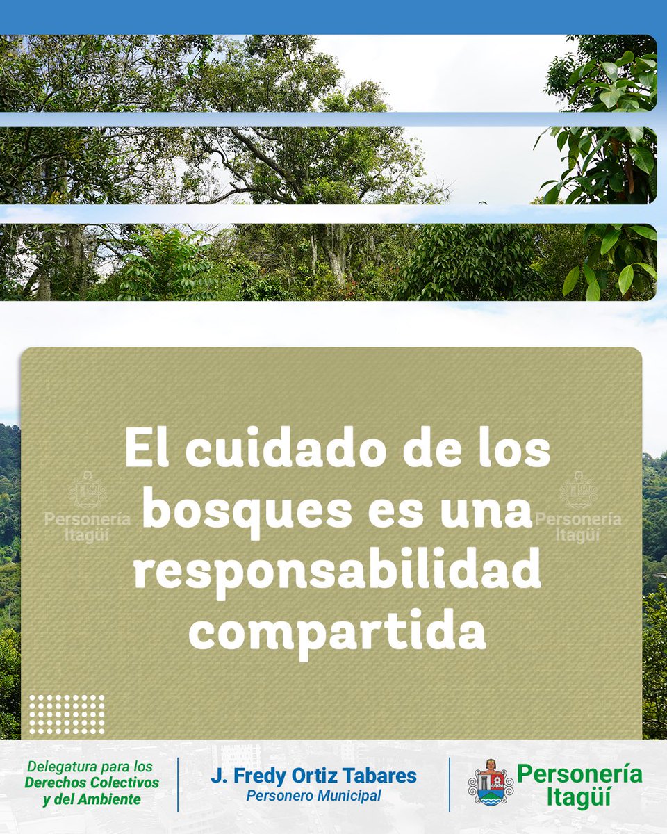 🌳 𝑯𝒐𝒚 𝒎𝒂́𝒔 𝒒𝒖𝒆 𝒏𝒖𝒏𝒄𝒂, 𝒍𝒐𝒔 𝒃𝒐𝒔𝒒𝒖𝒆𝒔 𝒏𝒐𝒔 𝒏𝒆𝒄𝒆𝒔𝒊𝒕𝒂𝒏.

Son mucho más que paisaje: son equilibrio, agua y bienestar para todos 🌎💧 Cuidarlos es un compromiso compartido.

Promover su protección es asegurar el futuro de las próximas generaciones.