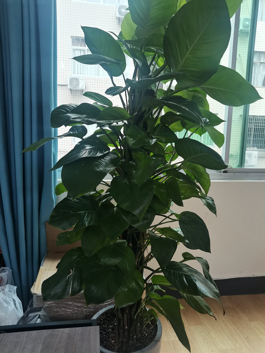 jake dean loeffel tweet media